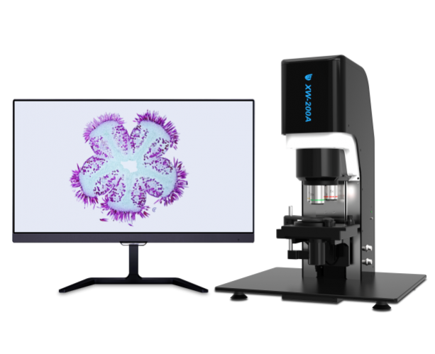 XW-200A超景深显微数字成像系统