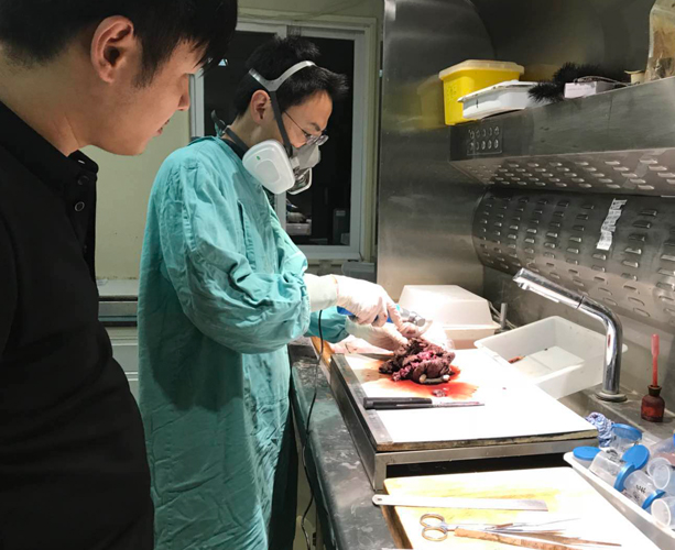 标本成像系统
