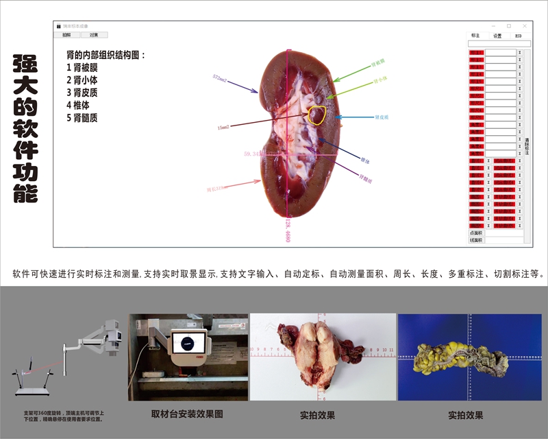 3211ea60a91694c477554d218683fc2_副本.jpg