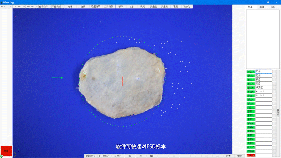 瑞丰仪器ESD成片_3.gif