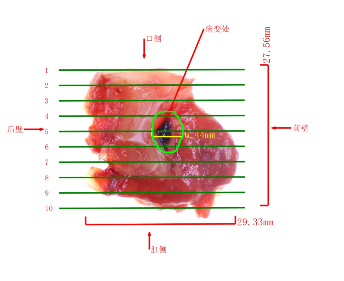 未命名 -1-1.jpg