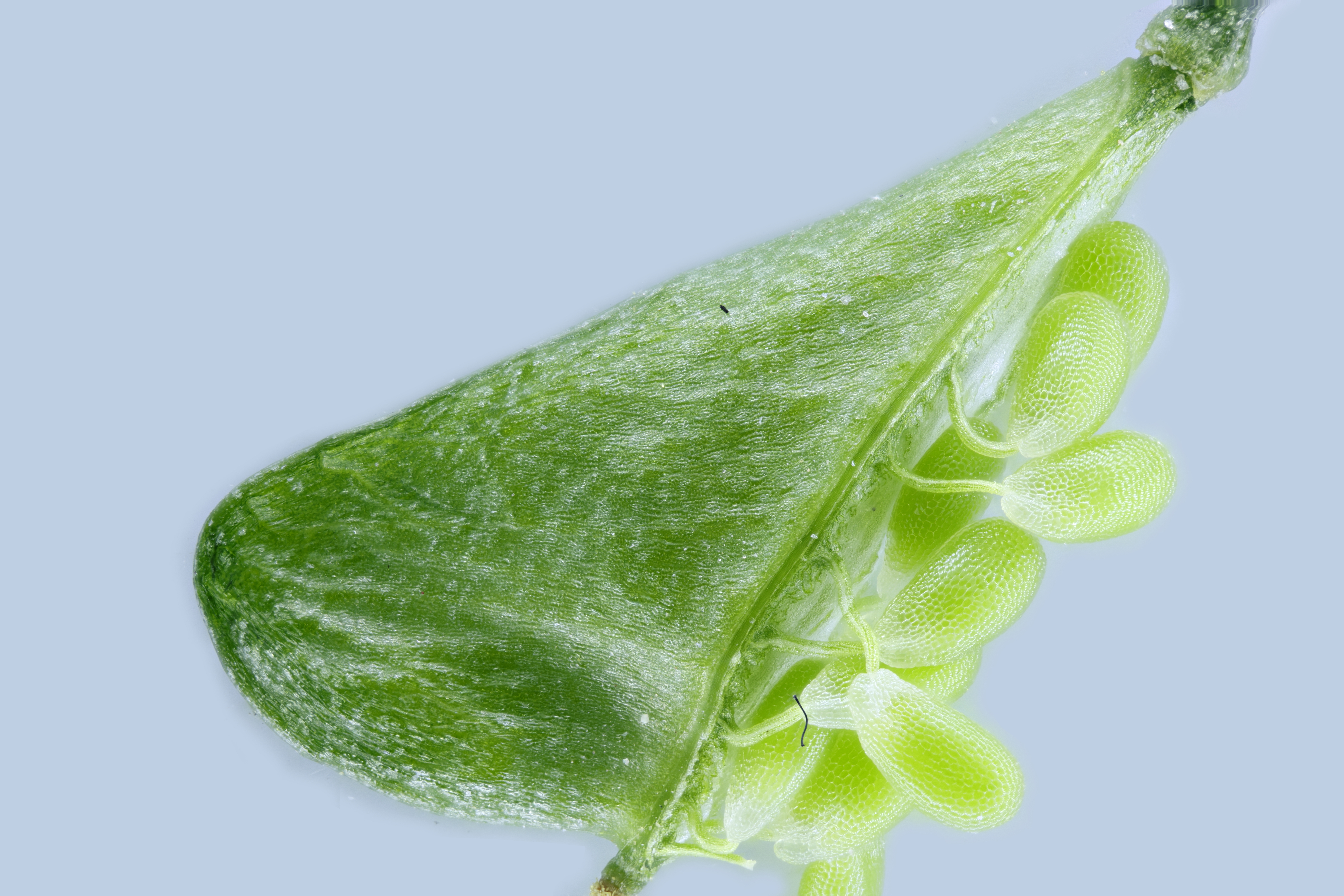 1752715417387426.jpg
