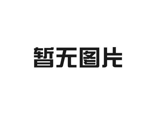 大体标本成像